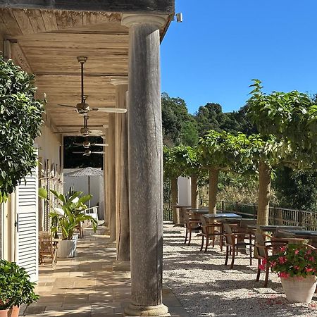 Le Clos Des Sept Palmiers Cavalaire-sur-Mer Dış mekan fotoğraf