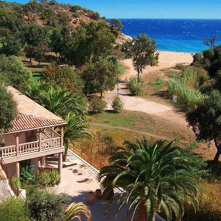 Le Clos Des Sept Palmiers Cavalaire-sur-Mer Dış mekan fotoğraf