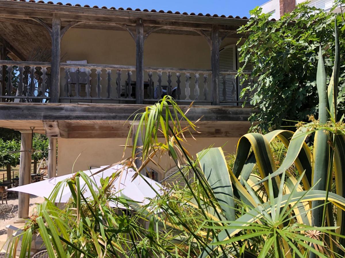 Le Clos Des Sept Palmiers Cavalaire-sur-Mer Dış mekan fotoğraf