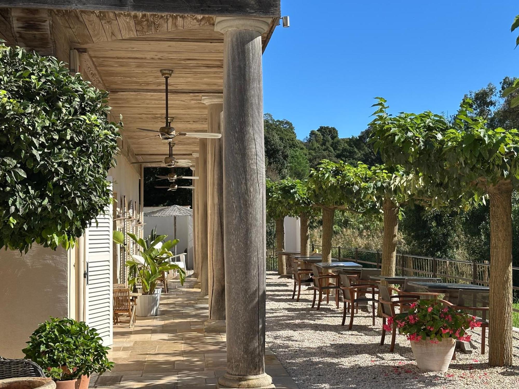 Le Clos Des Sept Palmiers Cavalaire-sur-Mer Dış mekan fotoğraf