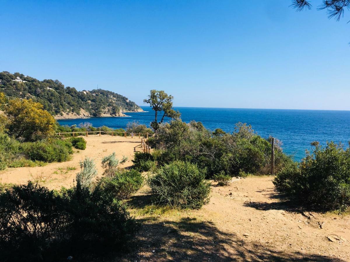 Le Clos Des Sept Palmiers Cavalaire-sur-Mer Dış mekan fotoğraf