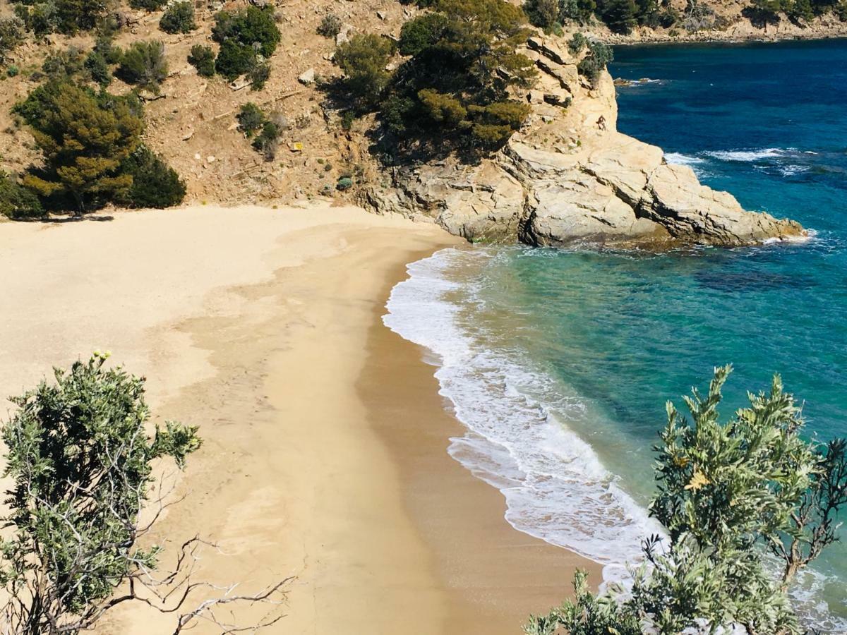 Le Clos Des Sept Palmiers Cavalaire-sur-Mer Dış mekan fotoğraf