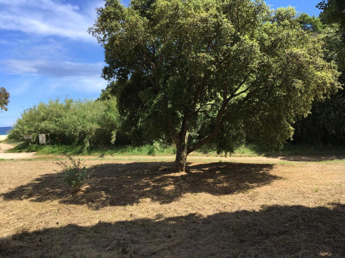 Le Clos Des Sept Palmiers Cavalaire-sur-Mer Dış mekan fotoğraf